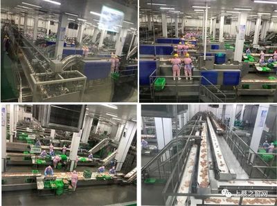 一大批人出動(dòng)!雙匯冷鮮肉這回在上蔡可出名了! 包裝機(jī)械賦能下的品質(zhì)革命