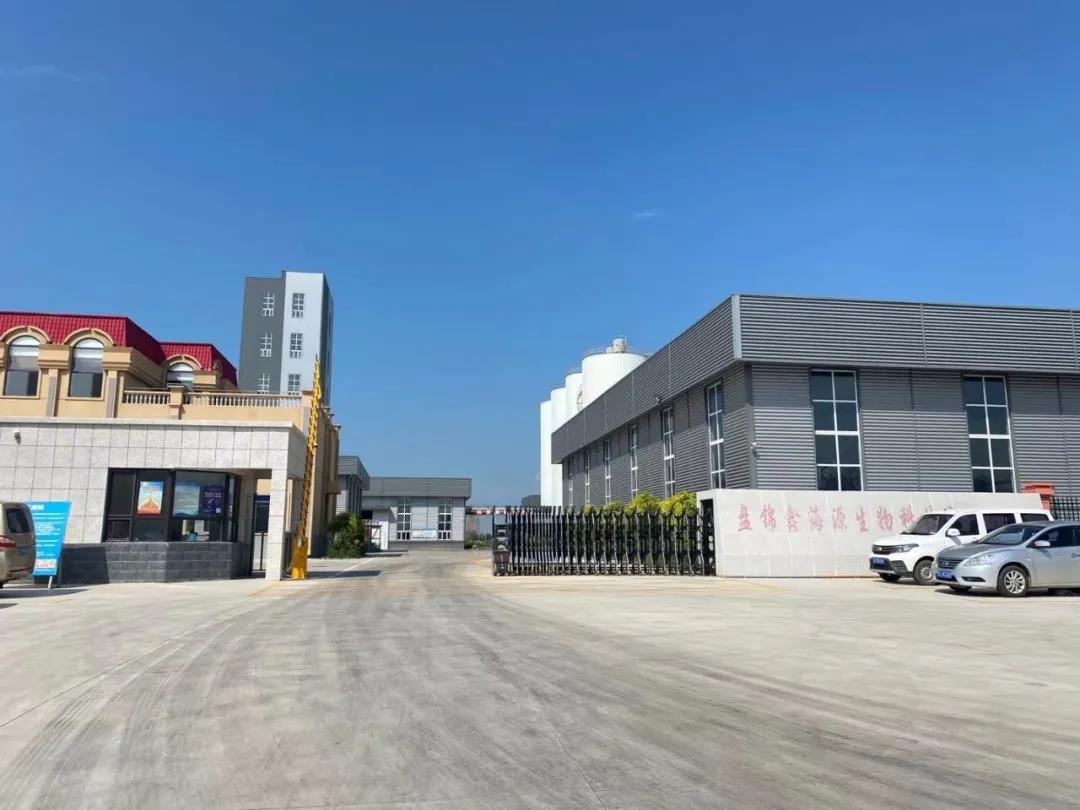 盤錦遼東灣新區糧油產業邁向高值化 植物油副產品轉型潤滑油的綠色路徑